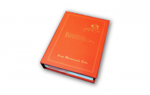 Insight into Bhagavad Gita book