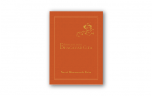 Insight into Bhagavad Gita book- Front