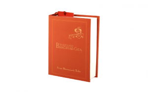 Insight into Bhagavad Gita book FULL